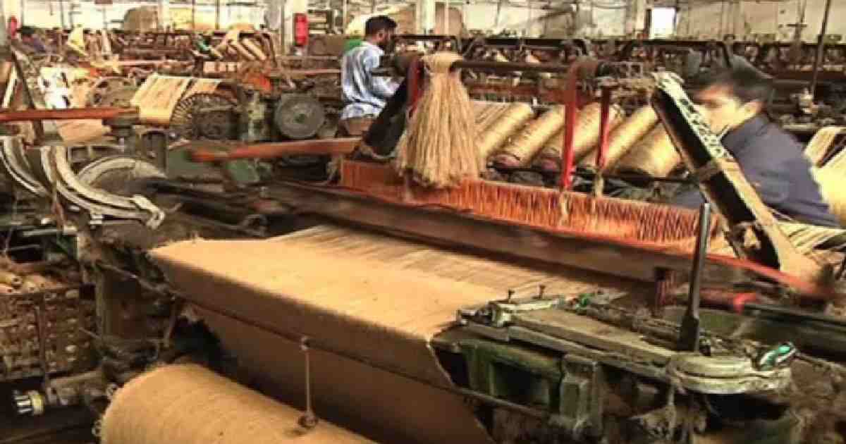 'Golden fibre' no longer holds glitter for Khulna jute farmers